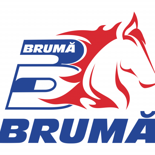 cropped cropped cropped logo bruma rosu albastru 1