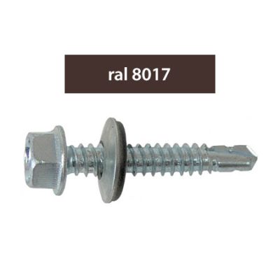 MK ODI358017.jpg