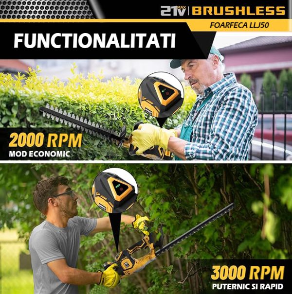 Functionalitati