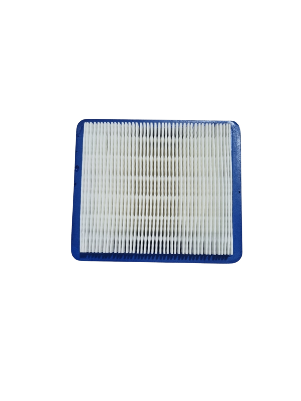 filtru aer bs (1)