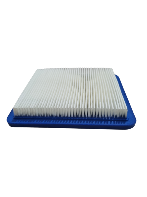 filtru aer bs (2)