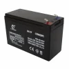 acumulator 12 v pentru pompa de stropit elefant~6709