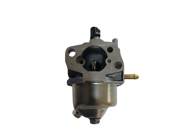 Carburator masina de tuns gazon ProGarden