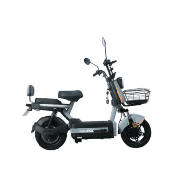 Scuter Electric RDB ROMA 600W gri.1.png