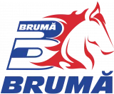 cropped logo bruma rosu albastru
